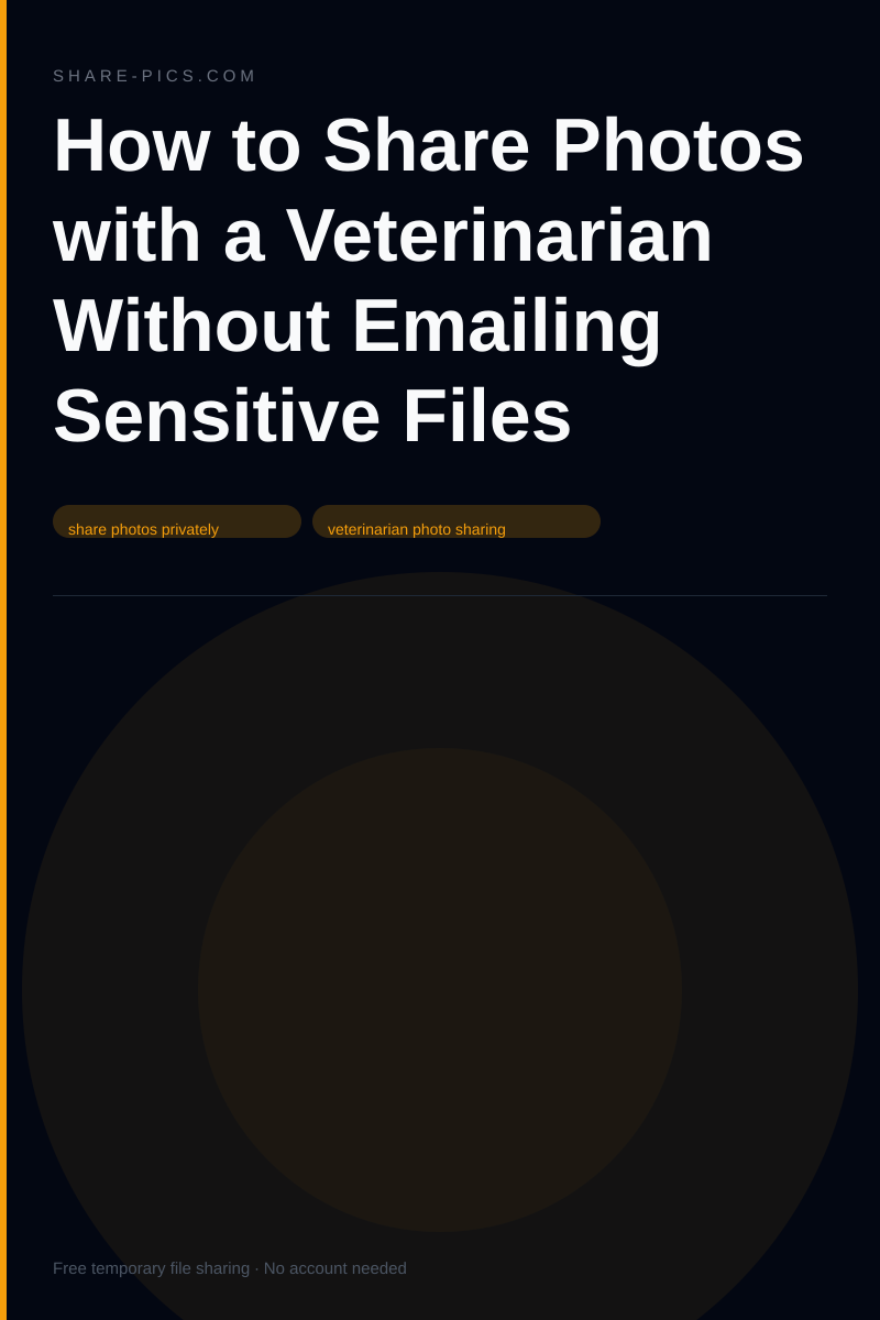 Cómo compartir fotos con tu veterinario sin enviar archivos por correo